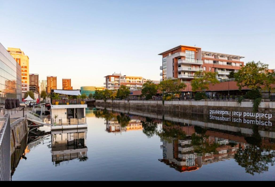 Appartement Standing F2 Rivetoile Centre Parking Gratuit Terrasse Strasbourg